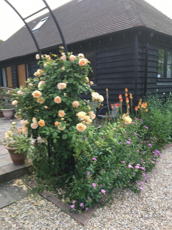 Little Orchard Cottage Canterbury Buitenkant foto